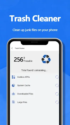 CleanPulse screenshot