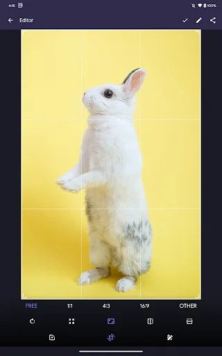 Fossify Gallery screenshot