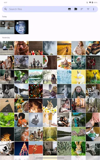 Fossify Gallery screenshot