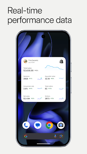 Shopify: Sell online/in person screenshot