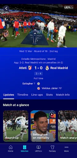UEFA Champions League Official screenshot