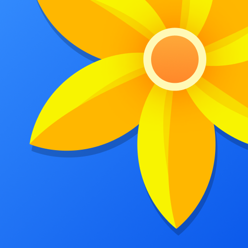 Gallery - Photo Gallery, Album