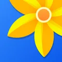 Gallery - Photo Gallery, Album