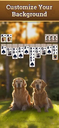 Vita Spider Solitaire screenshot