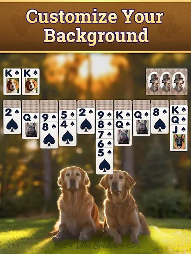 Vita Spider Solitaire screenshot