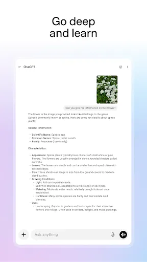 ChatGPT screenshot
