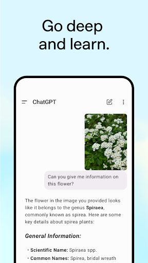 ChatGPT screenshot