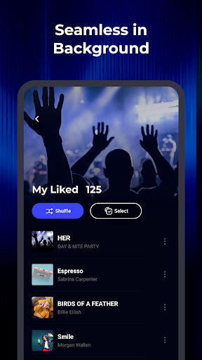 WaveFlow – Offline Music screenshot