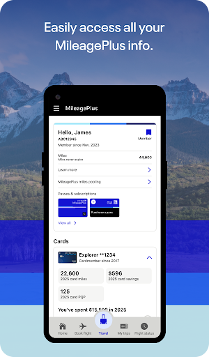 United Airlines screenshot