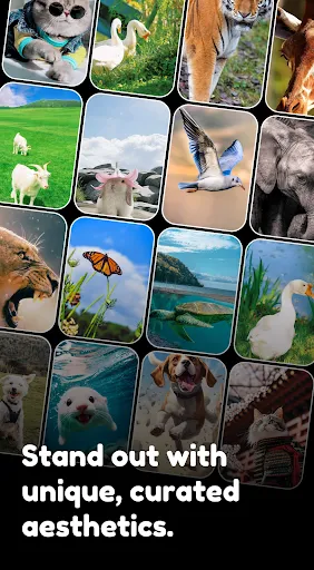 3D&Live Wallpaper-launcher screenshot