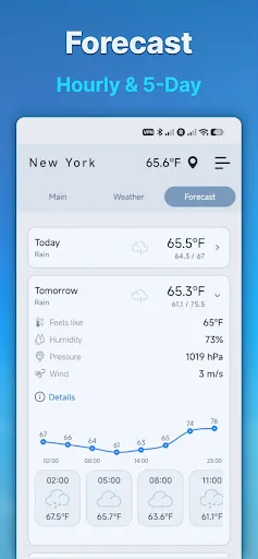 Indoor thermometer screenshot