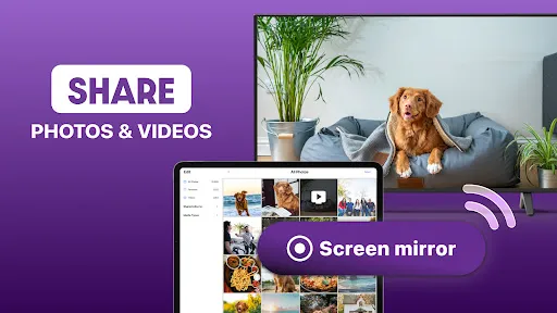 Roku Screen Mirror & Cast TV screenshot