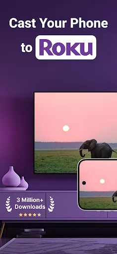 Roku Screen Mirror & Cast TV screenshot