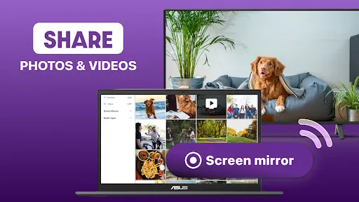 Roku Screen Mirror & Cast TV screenshot