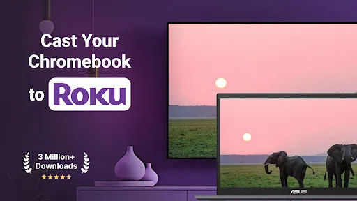 Roku Screen Mirror & Cast TV screenshot