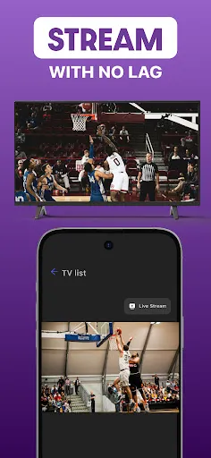 Roku Screen Mirror & Cast TV screenshot