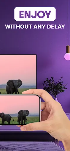 Roku Screen Mirror & Cast TV screenshot