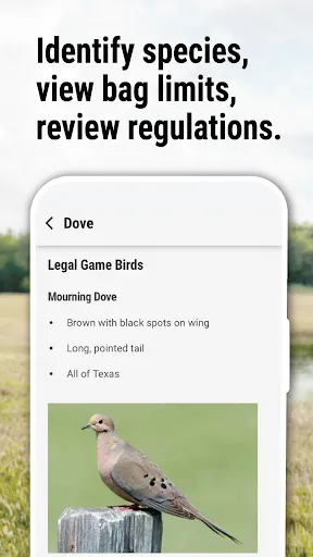 Texas Outdoor Annual screenshot