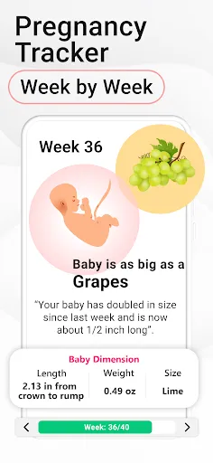 Pregnancy Calculator: Due Date screenshot