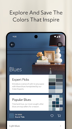Sherwin-Williams Color Expert™ screenshot