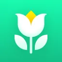 Plant Parent: Plant Care Guide