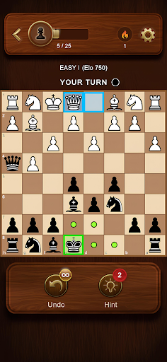 Chess Master: Board Game screenshot