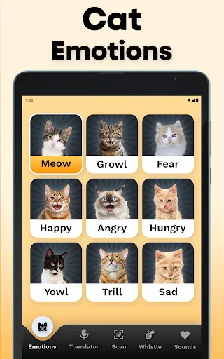 CatTranslator - Cat to Human screenshot