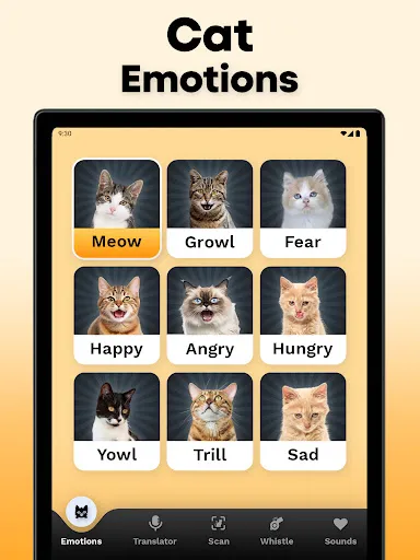 CatTranslator - Cat to Human screenshot