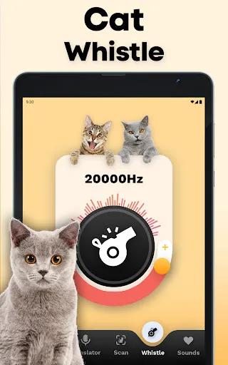 CatTranslator - Cat to Human screenshot