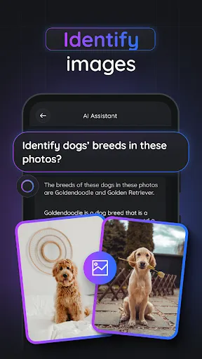 Jimmy AI: Chat & Assistant screenshot