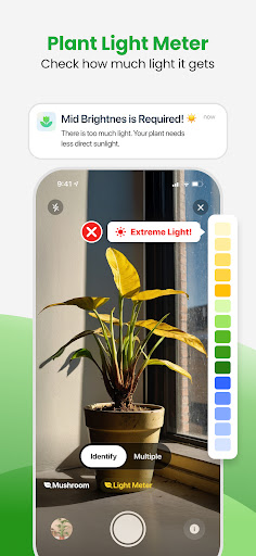 Plant App - Plant Identifier screenshot