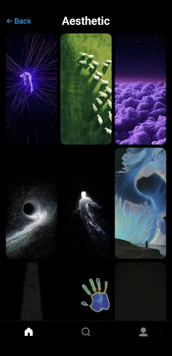Gallerie Wallpapers screenshot