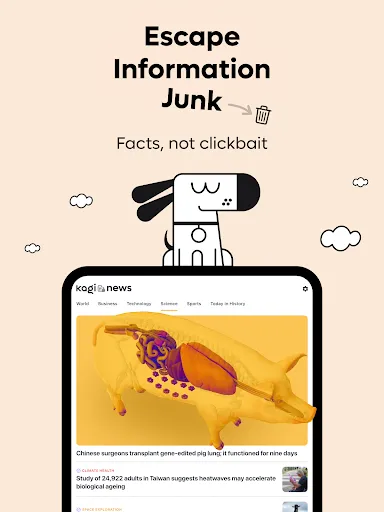Kagi News screenshot
