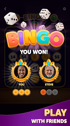 Bingo Dice screenshot