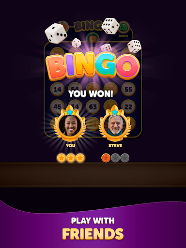 Bingo Dice screenshot