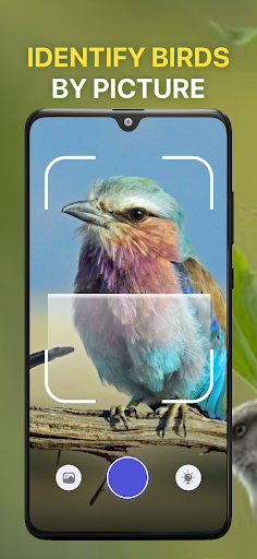 Bird Sound Identifier Bird ID screenshot