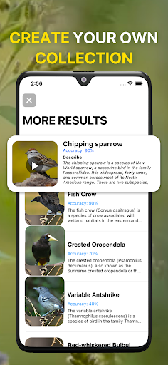 Bird Sound Identifier Bird ID screenshot