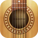 Real Guitar: acoustic electric