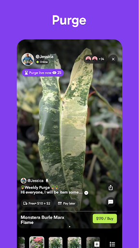 Palmstreet: Buy & Sell LIVE screenshot