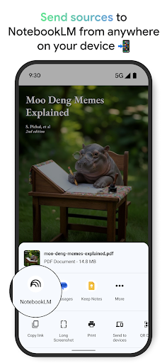 Google NotebookLM screenshot