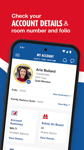 Carnival HUB screenshot