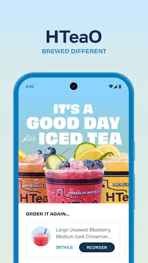 HTeaO screenshot