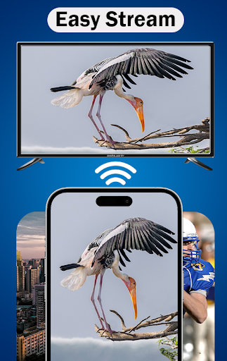 MirrorLink screenshot