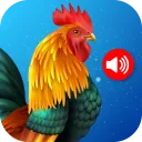 Animal Ringtones