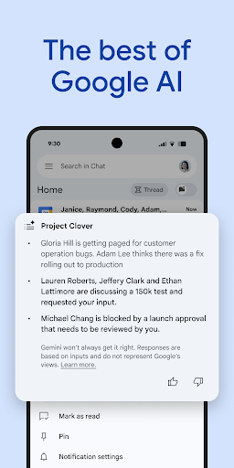 Google Chat screenshot