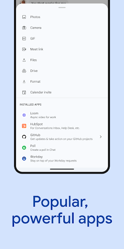 Google Chat screenshot