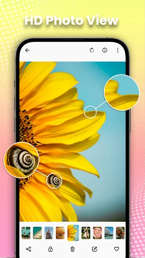 Gallery - Photo Gallery, Album screenshot