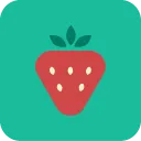 BLW Meals: Starting Solids