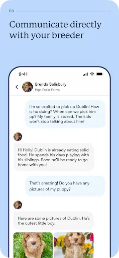 Good Dog: Find Your New Puppy screenshot