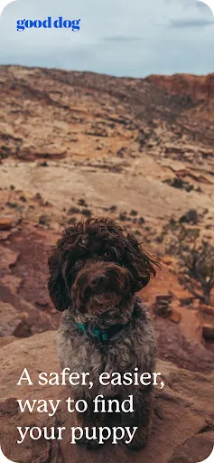 Good Dog: Find Your New Puppy screenshot